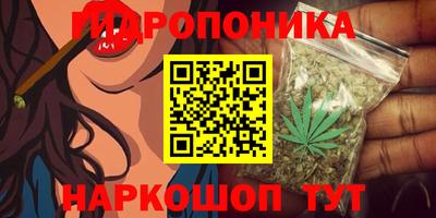 ешки Славгород
