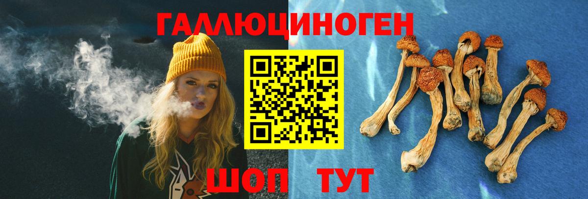Галлюциногенные грибы мицелий  Псилоцибиновые грибы Magic Shrooms  где продают   Прокопьевск  Вход с VPN 